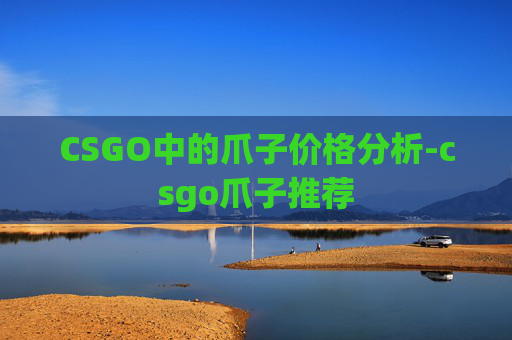 CSGO中的爪子价格分析-csgo爪子推荐