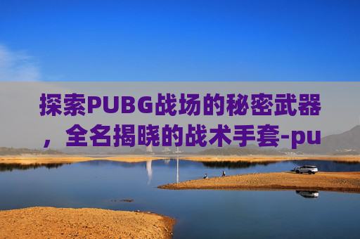 探索PUBG战场的秘密武器，全名揭晓的战术手套-pubg手套合集