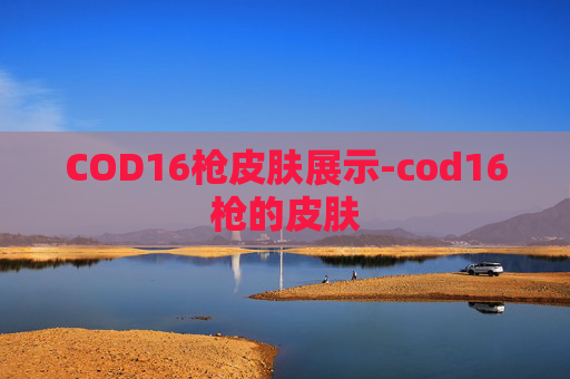 COD16枪皮肤展示-cod16枪的皮肤 COD16枪皮肤展示-cod16枪的皮肤