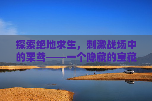 探索绝地求生,刺激战场中的栗鸢——一个隐藏的宝藏- 探索绝地求生,刺激战场中的栗鸢——一个隐藏的宝藏-
