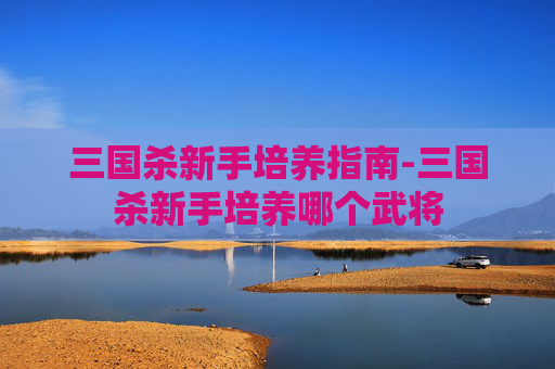 三国杀新手培养指南-三国杀新手培养哪个武将 三国杀新手培养指南-三国杀新手培养哪个武将