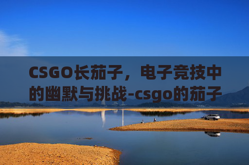 CSGO长茄子,电子竞技中的幽默与挑战-csgo的茄子 CSGO长茄子,电子竞技中的幽默与挑战-csgo的茄子