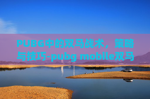 PUBG中的双马战术,策略与技巧-pubg mobile双马尾怎么获得 PUBG中的双马战术,策略与技巧-pubg mobile双马尾怎么获得