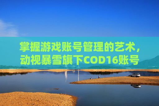 掌握游戏账号管理的艺术,动视暴雪旗下COD16账号改绑全攻略-cod16更改绑定动视账号 掌握游戏账号管理的艺术,动视暴雪旗下COD16账号改绑全攻略-cod16更改绑定动视账号
