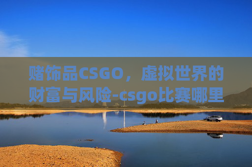 赌饰品CSGO，虚拟世界的财富与风险-csgo比赛哪里赌