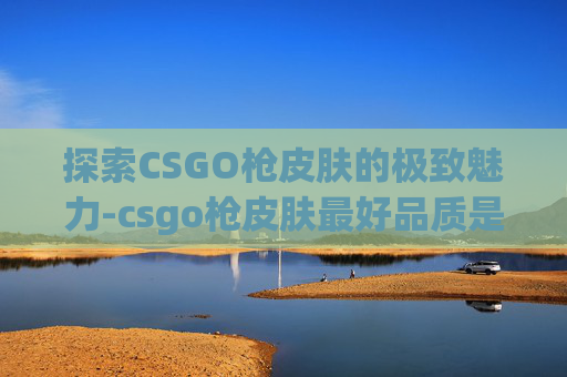 探索CSGO枪皮肤的极致魅力-csgo枪皮肤最好品质是多少 探索CSGO枪皮肤的极致魅力-csgo枪皮肤最好品质是多少