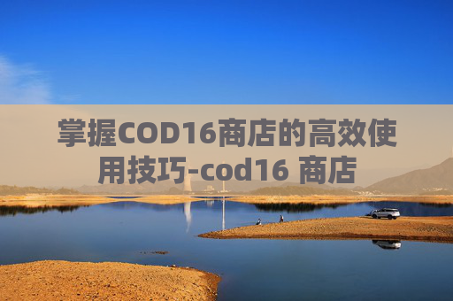 掌握COD16商店的高效使用技巧-cod16 商店 掌握COD16商店的高效使用技巧-cod16 商店