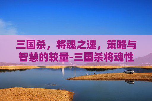 三国杀,将魂之速,策略与智慧的较量-三国杀将魂性价比 三国杀,将魂之速,策略与智慧的较量-三国杀将魂性价比