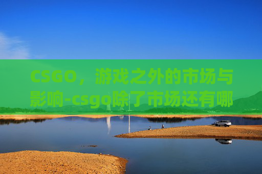 CSGO,游戏之外的市场与影响-csgo除了市场还有哪里能买东西 CSGO,游戏之外的市场与影响-csgo除了市场还有哪里能买东西