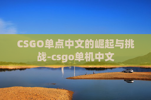 CSGO单点中文的崛起与挑战-csgo单机中文
