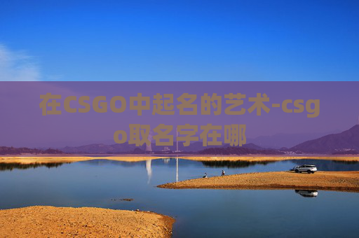 在CSGO中起名的艺术-csgo取名字在哪 在CSGO中起名的艺术-csgo取名字在哪