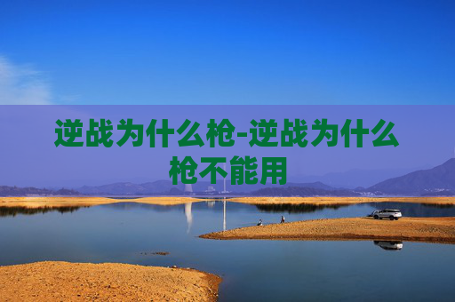 逆战为什么枪-逆战为什么枪不能用 逆战为什么枪-逆战为什么枪不能用