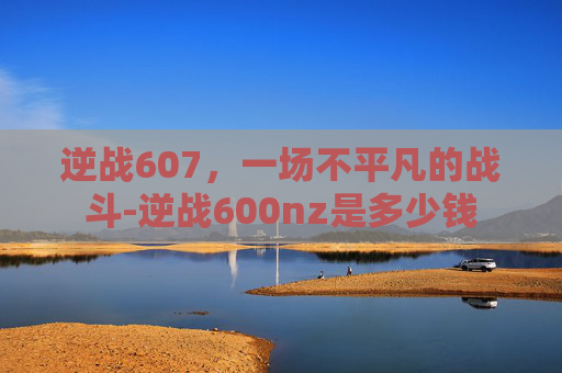 逆战607，一场不平凡的战斗-逆战600nz是多少钱