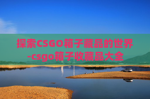 探索CSGO箱子藏品的世界-csgo箱子收藏品大全 探索CSGO箱子藏品的世界-csgo箱子收藏品大全