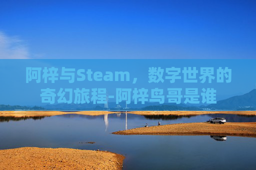 阿梓与Steam，数字世界的奇幻旅程-阿梓鸟哥是谁