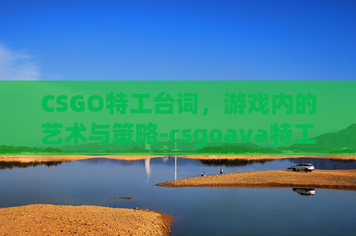 CSGO特工台词,游戏内的艺术与策略-csgoava特工语音台词 CSGO特工台词,游戏内的艺术与策略-csgoava特工语音台词