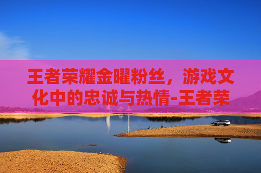 王者荣耀金曜粉丝，游戏文化中的忠诚与热情-王者荣耀金曜粉丝叫什么