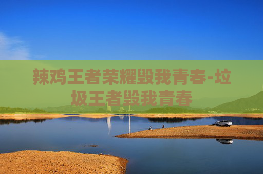 辣鸡王者荣耀毁我青春-垃圾王者毁我青春