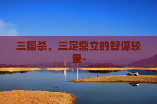 三国杀,三足鼎立的智谋较量- 三国杀,三足鼎立的智谋较量-