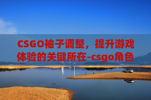 CSGO袖子调整,提升游戏体验的关键所在-csgo角色袖子 CSGO袖子调整,提升游戏体验的关键所在-csgo角色袖子