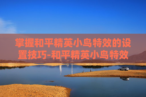 掌握和平精英小鸟特效的设置技巧-和平精英小鸟特效怎么设置的 掌握和平精英小鸟特效的设置技巧-和平精英小鸟特效怎么设置的