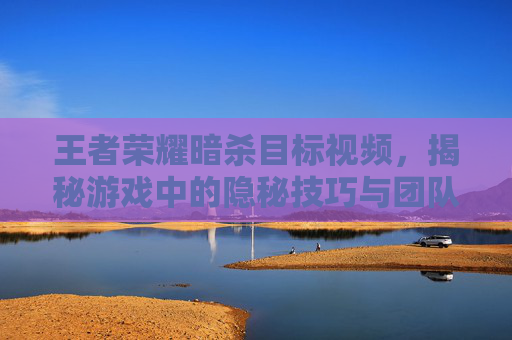 王者荣耀暗杀目标视频,揭秘游戏中的隐秘技巧与团队协作-王者荣耀暗杀时刻 王者荣耀暗杀目标视频,揭秘游戏中的隐秘技巧与团队协作-王者荣耀暗杀时刻