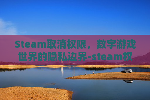 Steam取消权限,数字游戏世界的隐私边界-steam权限怎么关闭 Steam取消权限,数字游戏世界的隐私边界-steam权限怎么关闭