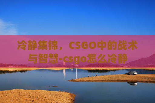 冷静集锦，CSGO中的战术与智慧-csgo怎么冷静