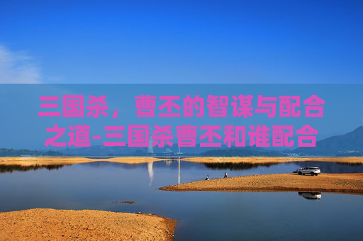 三国杀,曹丕的智谋与配合之道-三国杀曹丕和谁配合好 三国杀,曹丕的智谋与配合之道-三国杀曹丕和谁配合好