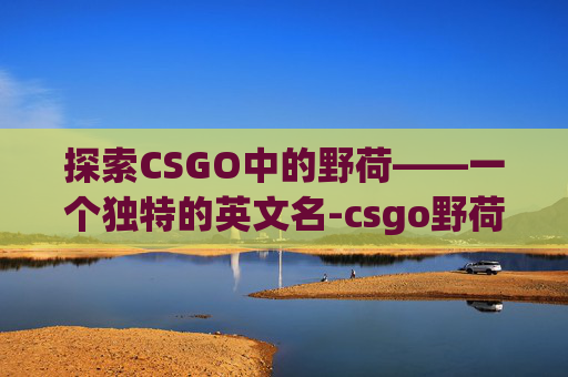 探索CSGO中的野荷——一个独特的英文名-csgo野荷英文名叫什么