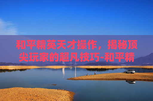 和平精英天才操作，揭秘顶尖玩家的超凡技巧-和平精英天才操作设置在哪