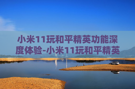 小米11玩和平精英功能深度体验-小米11玩和平精英功能怎么设置