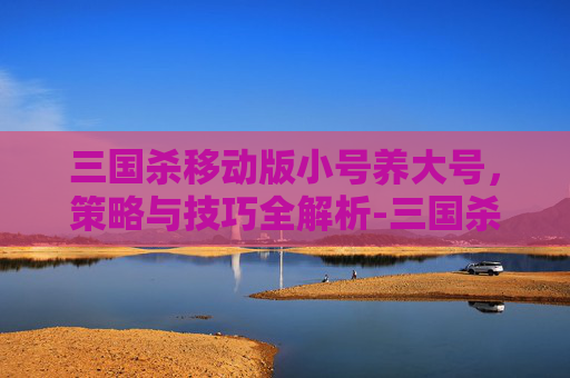 三国杀移动版小号养大号,策略与技巧全解析-三国杀小号有什么用 三国杀移动版小号养大号,策略与技巧全解析-三国杀小号有什么用