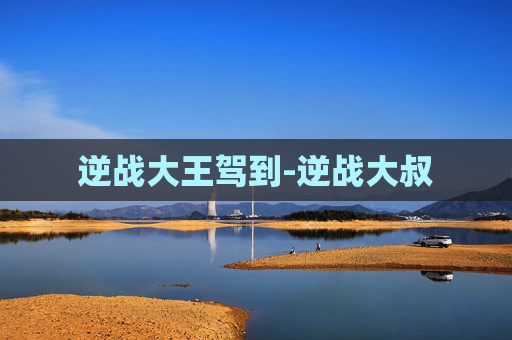 逆战大王驾到-逆战大叔