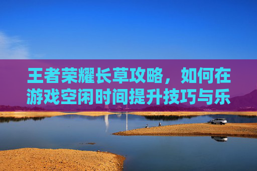 王者荣耀长草攻略,如何在游戏空闲时间提升技巧与乐趣-王者荣耀长草攻略最新 王者荣耀长草攻略,如何在游戏空闲时间提升技巧与乐趣-王者荣耀长草攻略最新
