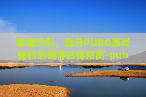 精准识别，提升PUBG游戏体验的硬件选择指南-pubg硬件检测
