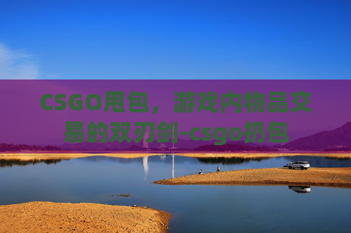 CSGO甩包，游戏内物品交易的双刃剑-csgo扔包