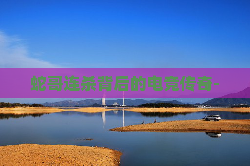 蛇哥连杀背后的电竞传奇- 蛇哥连杀背后的电竞传奇-