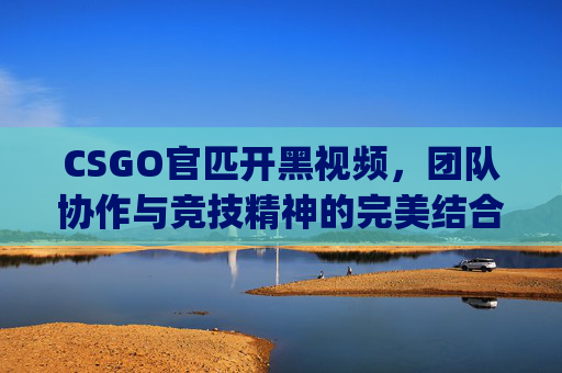 CSGO官匹开黑视频,团队协作与竞技精神的完美结合-csgo官匹开黑yy CSGO官匹开黑视频,团队协作与竞技精神的完美结合-csgo官匹开黑yy