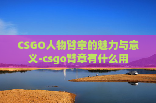 CSGO人物臂章的魅力与意义-csgo臂章有什么用 CSGO人物臂章的魅力与意义-csgo臂章有什么用