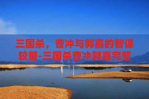 三国杀，曹冲与郭嘉的智谋较量-三国杀曹冲郭嘉完整版