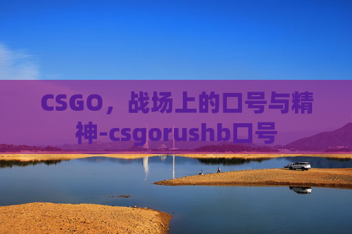 CSGO,战场上的口号与精神-csgorushb口号 CSGO,战场上的口号与精神-csgorushb口号