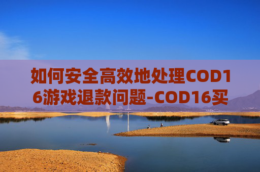 如何安全高效地处理COD16游戏退款问题-COD16买了可以退款吗