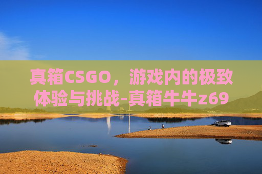 真箱CSGO，游戏内的极致体验与挑战-真箱牛牛z69机箱