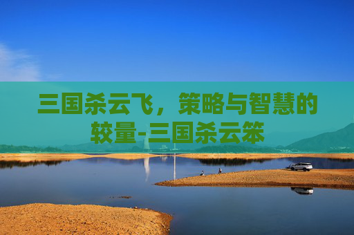 三国杀云飞,策略与智慧的较量-三国杀云笨 三国杀云飞,策略与智慧的较量-三国杀云笨