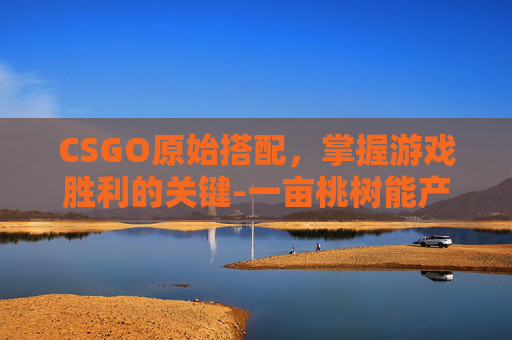 CSGO原始搭配,掌握游戏胜利的关键-一亩桃树能产多少桃胶 CSGO原始搭配,掌握游戏胜利的关键-一亩桃树能产多少桃胶
