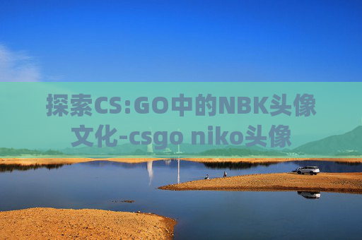 探索CS:GO中的NBK头像文化-csgo niko头像