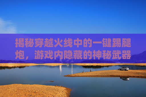 揭秘穿越火线中的一键踢腿炮,游戏内隐藏的神秘武器-cf踢腿炮辅助按键 揭秘穿越火线中的一键踢腿炮,游戏内隐藏的神秘武器-cf踢腿炮辅助按键