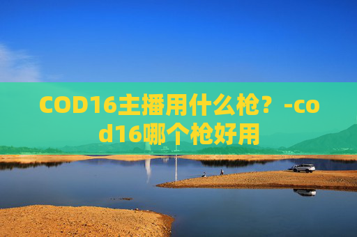 COD16主播用什么枪？-cod16哪个枪好用
