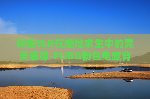粉色SLR在绝地求生中的完美演绎-PUBG粉色电磁背包怎么合成